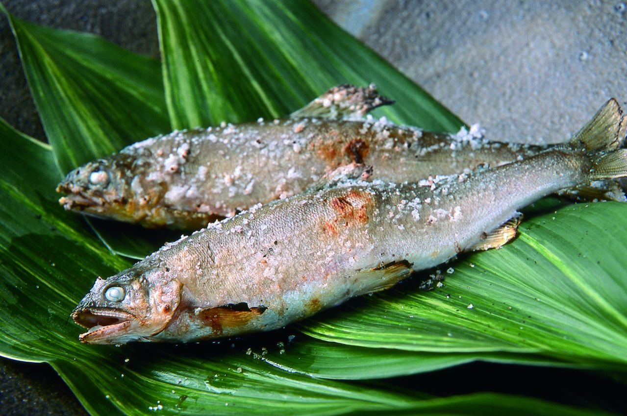 🎣 남향 수산 센터(난고 스이산 센타) 이미지 8